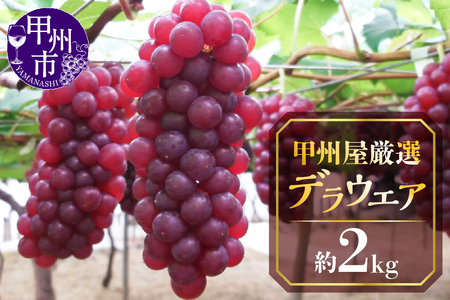 甲州屋厳選 勝沼産デラウエア葡萄 約2kg【2026年発送】C-193 ぶどう フルーツ