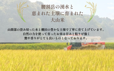 令和7年産 宇部市小野 大山産 玄米20kg | 玄米 20kg