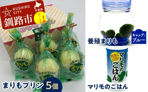 阿寒湖銘菓まりもプリン5個入と養殖まりもセット（ブルー） 北海道 釧路 ふるさと納税 養殖まりも 飼育 プリン カスタード スイーツ 菓子 _F4F-1863