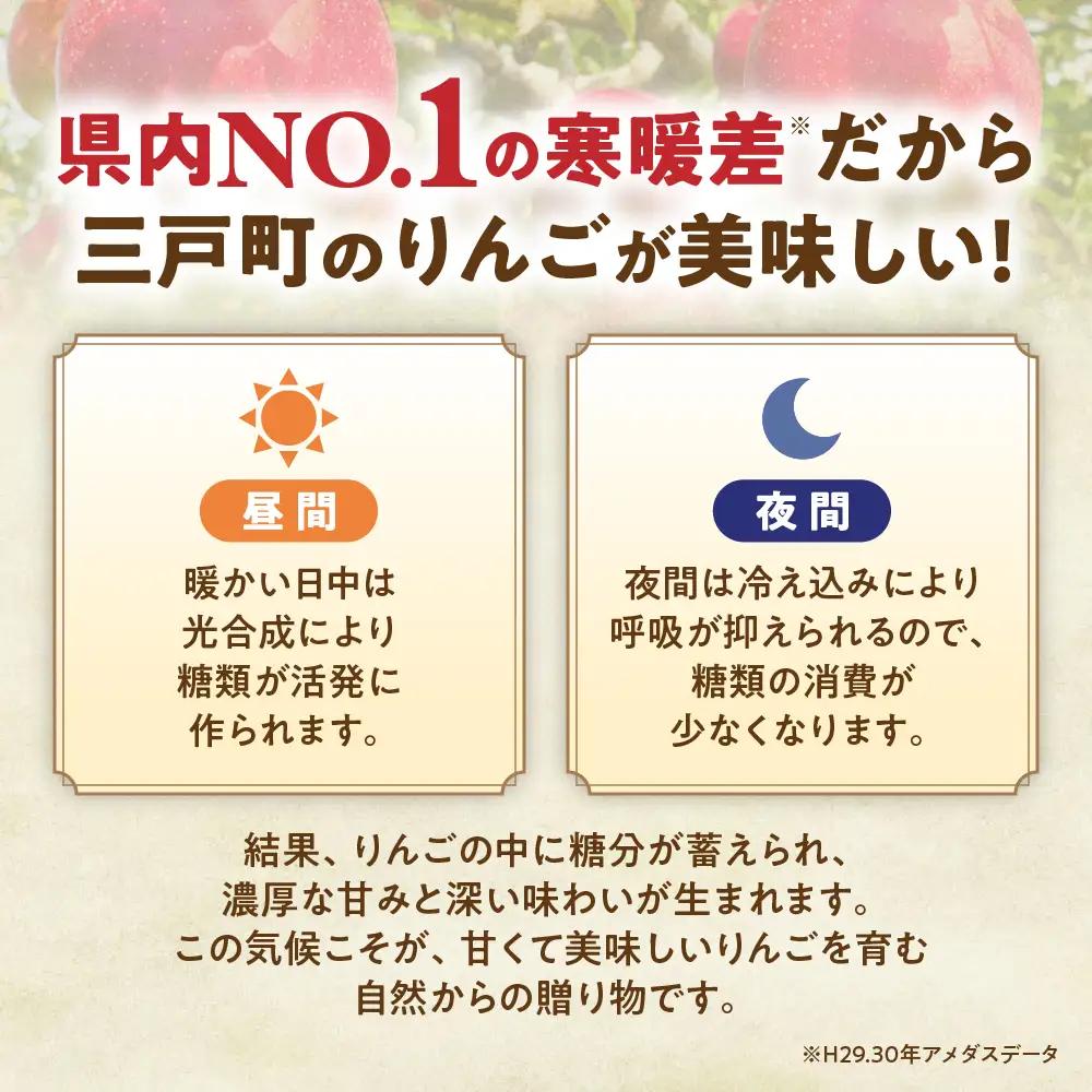 【詰め合わせ３種】青森県産りんご ＜サンふじ 王林 シナノゴールド＞ 約5kg 11月下旬～ りんご