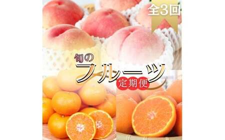 定期便【全3回/1・3・7月】旬のフルーツ定期便 【田村みかん 紀州デコ(不知火) 桃】 和歌山の旬をお届け / みかん ミカン 温州みかん 有田みかん 不知火 デコポン 桃 もも モモ 柑橘 フルーツ 果物 くだもの 旬 人気 甘い 定期便【tkb313】