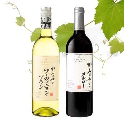 ふるさと納税 山梨市 サントネージュワインが贈るメルロー/ソーヴィニヨンブラン 赤白 計2本セット