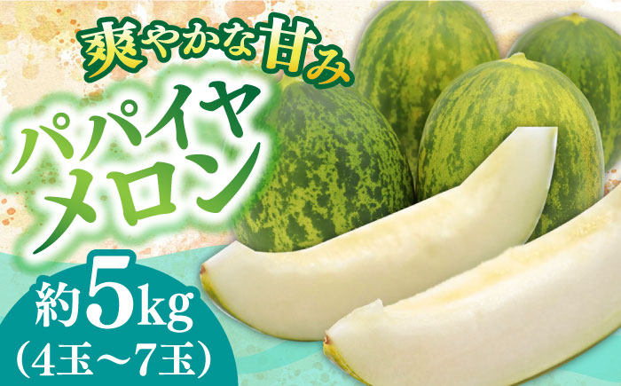 
                  【2025年4月〜発送】【いくらでも食べたくなるさっぱりとした甘さ！】パパイヤメロン 約5kg 4玉～7玉 / パパイヤメロン パパイアメロン めろん / 南島原市 / 贅沢宝庫 [SDZ034]
                