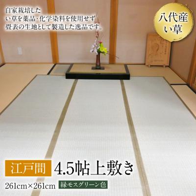 ふるさと納税 八代市 い草 上敷き 江戸間 4.5帖 261cm×261cm 縁モスグリーン色_032-4442-A
