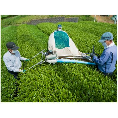 ふるさと納税 入間市 一煎パック入り 狭山茶ティーバッグ「霞川 ほうじ茶」 |  | 03
