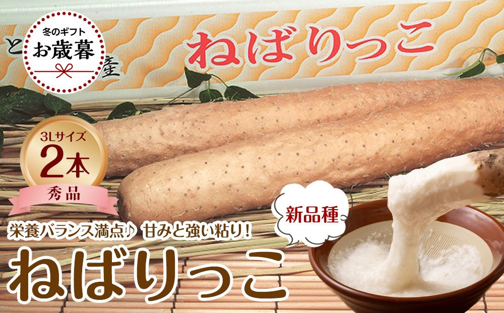 744.【2026年お歳暮　のし付】【先行予約】【ＪＡ】ねばりっこ　秀3Ｌ×2本　※着日指定不可　※離島への配送不可　※順次発送予定 313726_BN025