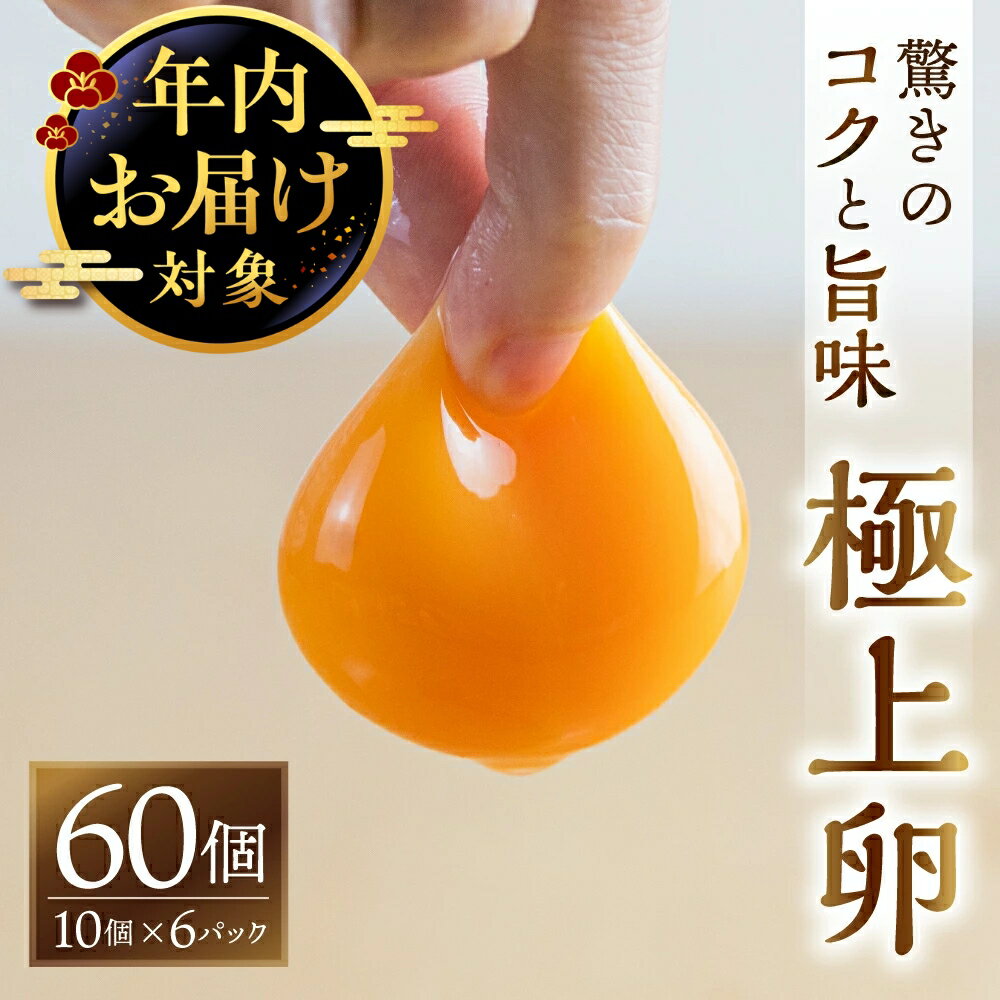 【ふるさと納税】《年内発送》＼高評価★5／ 感動 極上卵 60 個 割れ保証付き たまご カミヤタマゴ たまこちゃん 卵 鶏卵 玉子 たまごかけご飯 お取り寄せ 小分け 生卵 濃厚 高級 定期便 3ヶ月 6ヶ月 12ヶ月 卵料理 玉子 毎月 定期 幻 入手困難 人気 濃厚 60個