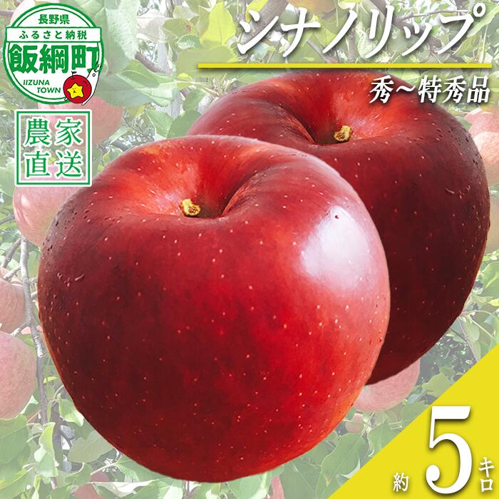 【ふるさと納税】 りんご シナノリップ 5kg 秀〜特秀 若林農園 沖縄県への配送不可 〔 果物 フルーツ 林檎 長野 予約 農家直送 贈答用 5キロ 18000円 〕【令和8年度収穫分】 発送：2026年8月中旬〜