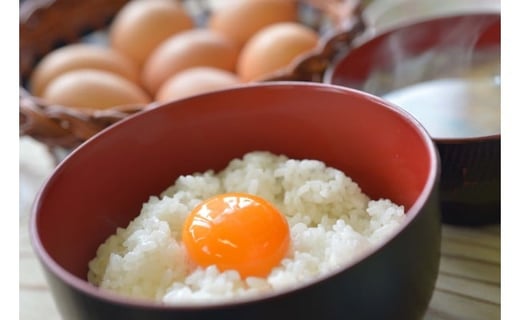 JK‐01　たまご屋さんの ギフトセット (平飼い有精卵10個入×2・有精卵マヨネーズ(300g)1本・かけたろう(150ml)1本・炭火焼平飼い鶏(100g)1個・平飼いとりそぼろ(100g)×3袋)