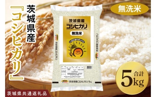 令和7年産 茨城県産 無洗米コシヒカリ5kg【お米 米 こしひかり ごはん 茨城県】（03-51-1）