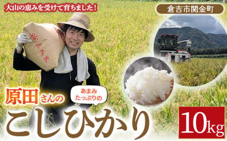 【期間・在庫限定】原田さんのこしひかり 10kg 数量限定 精米 お米 米 こめ コメ 白米 こしひかり コシヒカリ ブランド米 ごはん ゴハン ご飯 米 米 米 米 米 米