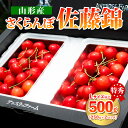 【ふるさと納税】 山形県産 さくらんぼ「佐藤錦」500g 特秀品 Lサイズ以上 【令和7年産先行予約】FS24-805