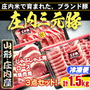 【ふるさと納税】 ふるさと納税 豚肉 高級 山形 ブランド豚 「 庄内三元豚 」 3点セット （計1.5kg）