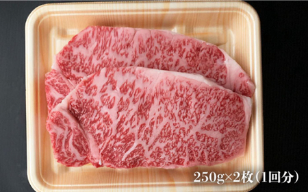 【全3回定期便】大満足！ 博多和牛 牛肉 サーロイン ステーキ 500g（250g×2）＜肉のくまもと屋＞那珂川市 牛肉 サーロインステーキ サーロイン ステーキ 牛肉 牛肉定期便 和牛定期便 定期便