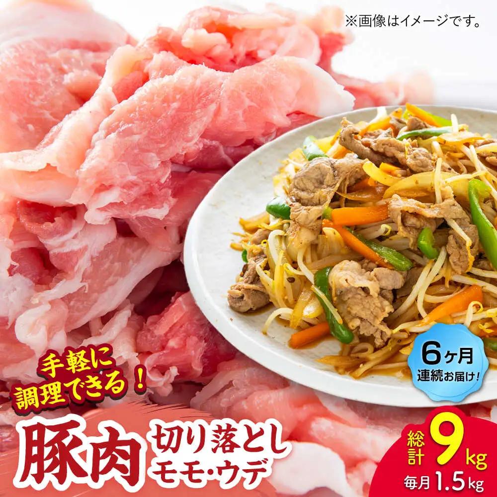 【6回定期便】豚肉切り落とし（モモ・ウデ部位指定なし）約1.5kg（約300g×5pc）【吉里精肉】[ZEW085]