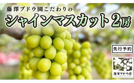 
            【 藤澤ブドウ園 】 こだわり の シャインマスカット 2房 2026年産 先行予約 ぶどう ブドウ 葡萄 フルーツ [AH003ci]
          