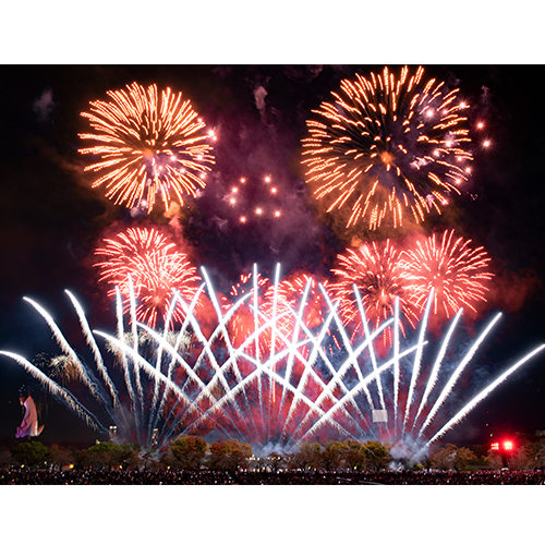 【66-03】第4回 万博夜空がアートになる日 花火鑑賞チケット パノラマシート（大人1名様分）