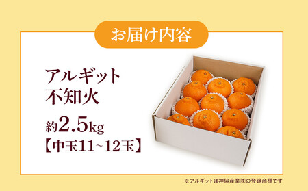 アルギット 不知火 約2.5kg 中玉 サイズ（11～12玉） 数量限定 先行予約 有田川町 山崎農園