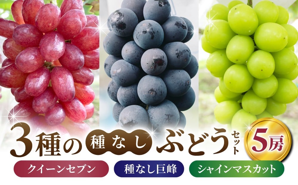 
            【あおさく農園】3種の種なしぶどうセット（クイーンセブン・巨峰・シャインマスカット）合計5房セット　※2025年9月中旬以降発送予定｜農薬削減
          