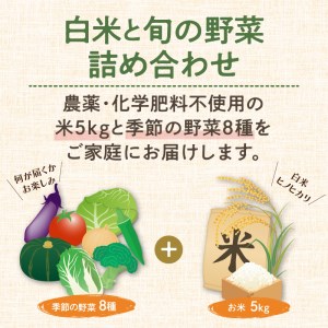 農業姉妹がこだわって栽培！ 白米5kgと旬の野菜詰め合わせ8種 1年定期便【024A-014】