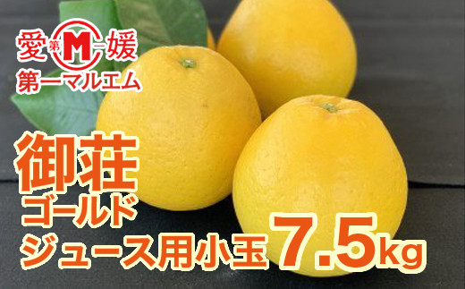
                  【先行予約】御荘ゴールド 小玉 7.5kg ジュース 用 7000円 みかん mikan 蜜柑 ミカン 河内晩柑 かわちばんかん 愛南ゴールド 産地直送 国産 農家直送 期間限定 数量限定 特産品 ゼリー アイス 冷凍 みかん 等に 人気 甘い フルーツ 果物 柑橘 おいしい ジューシー 愛媛県 愛南町 第一マルエム青果有限会社
                