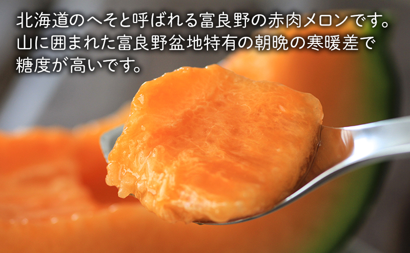 2026年夏～発送 富良野の人気の野菜 定期便 年4回  北海道 富