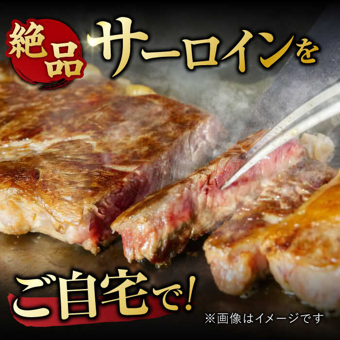 艶さし ！ 佐賀牛サーロインステーキセット 500g （ 250g ×2枚） 吉野ヶ里町 [FDB010]