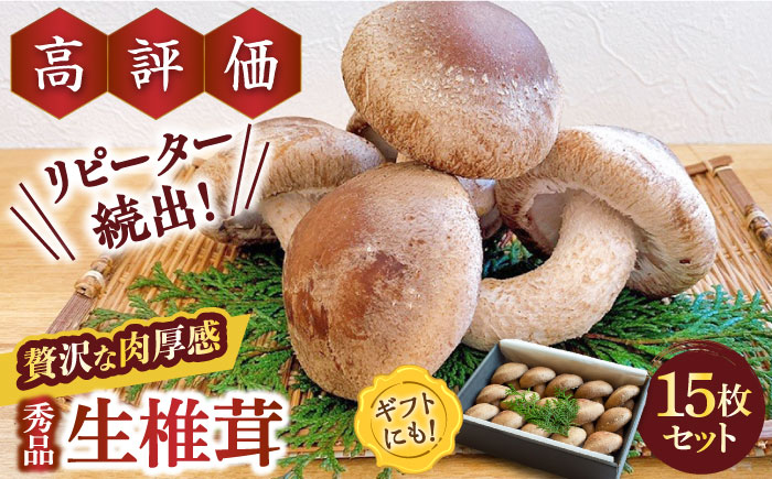 【一度食べたら忘れられない】九州で唯一！ 希少な肉厚生椎茸 秀品15枚セット / きのこ キノコ 茸 / 南島原市 / サンエスファーム [SBX001]