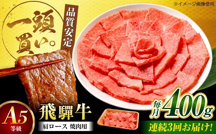 
                  【3回定期便】飛騨牛 肩ロース（焼肉用）400g / 飛騨牛 国産 肩ロース ロース 焼肉 焼き肉 黒毛和牛 和牛 牛肉 BBQ 岐阜県 / 御嵩町 / 馬力家 [AVBO105]
                
