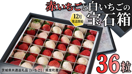 赤白いちごの宝石箱アソート 36粒 【2026年12月から発送開始】（茨城県共通返礼品 [いちご]：城里町産）