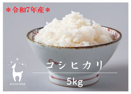 【京都ファーム】令和7年産 コシヒカリ 精米5kg