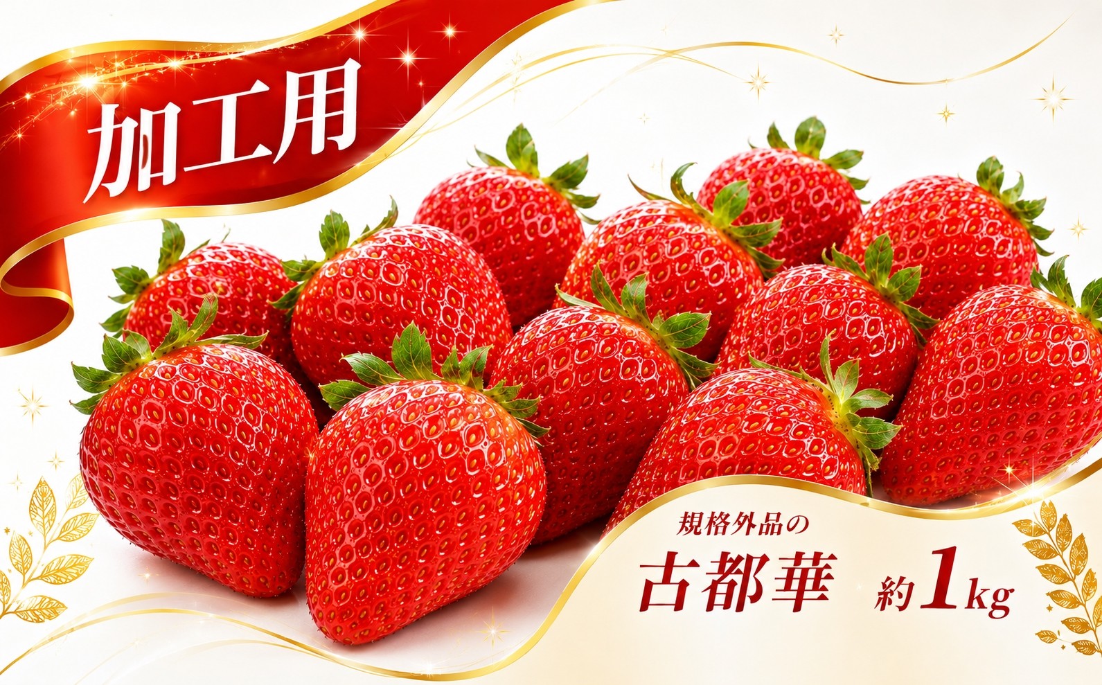 
                  【 加工用 】規格外品 の 古都華 約 1kg | 先行予約 果物 くだもの フルーツ 苺 イチゴ いちご ストロベリー 古都華 ことか 旬の品種 加工用 規格外品 ジャム コンポート 奈良県 平群町
                