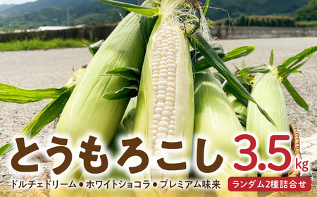 【2026年6月より順次発送】とうもろこし【ドルチェドリーム、ホワイトショコラ、プレミアム味来】ランダム2種詰合せ3.5Kgセット_とうもろこし 2種 詰合せ 計 3.5kg ドルチェドリーム ホワイトショコラ プレミアム味来 ランダムで2種 生で食べられる ジューシー 甘い  白いとうもうこし 上品な甘さ ミルキー クセになる食感 お取り寄せ お取り寄せグルメ 冷蔵 久留米市 福岡県 送料無料_Gv028