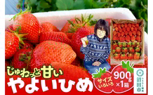 じゅわっと甘い！サイズいろいろ「やよいひめ」約900g（1箱／梱包込）山口いちご園