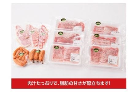 豚肉 こだわり 尾鈴豚 セット 豚肉