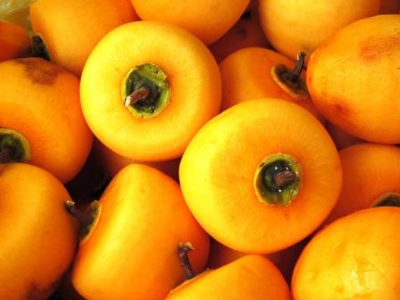 【市田柿専門店 金の柿】市田柿 自家用250g×2袋（500g） 2026年1月発送開始 長野県 信州 南信州 高森町 柿 干し柿 かき 高級 和菓子 お茶請け ご家庭用 ドライフルーツ 自然食品 ア