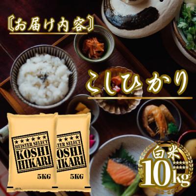 ふるさと納税 佐賀県 令和7年産こしひかり 白米 10kg(5kg×2袋)　41ANAD038(佐賀県) |  | 03