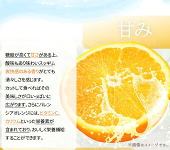 【2027年先行予約】希少な 国産 バレンシアオレンジ 7kg 【家庭用 訳あり】【国産オレンジ オレンジ 柑橘 フルーツ 和歌山 有田】_G7080