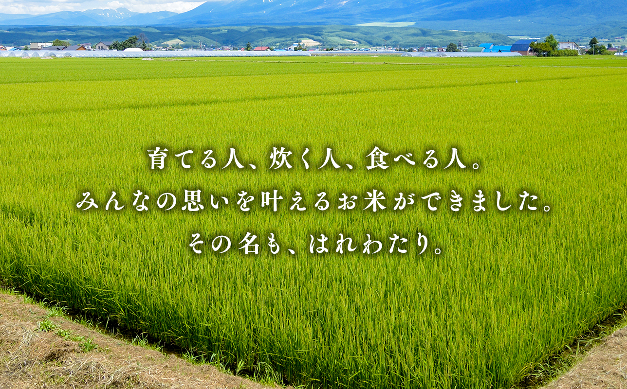 令和7年産 はれわたり5kg
