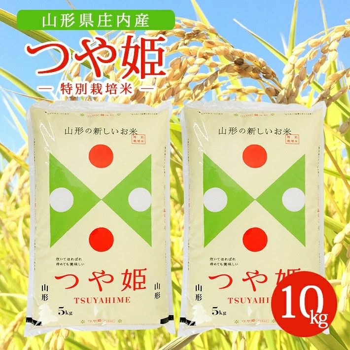 
                  令和7年産【精米】特別栽培米 つや姫　10kg(5kg×2袋) AK SC0697
                