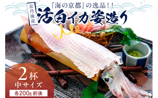 【先行予約】京丹後産『海の京都』の逸品！！　活白イカ姿造り（クリスタル白いか）中サイズ 2杯（200g前後）（2026年6月上旬～発送） ふるさと納税 海鮮 鮮度抜群 新鮮 海鮮 いか イカ 簡単調理 生産者応援 送料無料 生食 魚介類 活イカ　YK00535
