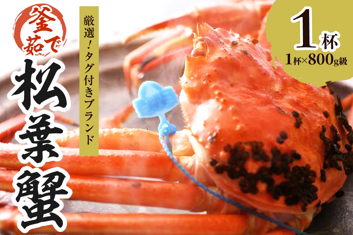 【厳選！！タグ付きブランド】茹で松葉かに 鮮度抜群、釜茹でにてお届け！！ 800g級×1杯　YK00430