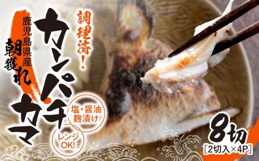 1276 調理済み！カンパチカマ塩・醤油麹（こうじ）漬け 8切（焼タイプ）　KN037-002-01