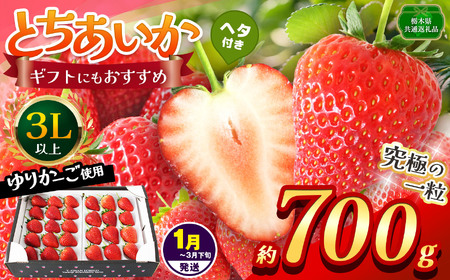 【栃木県共通返礼品】【1~3月発送分】【先行予約】とちあいか 3L以上ホール詰め 約700g | いちご とちあいか 香貴 朝採れ 大粒 新鮮 甘い  数量 限定 美味しい 果物 共通返礼品 フルーツ デザート 栃木県 那珂川町 送料無料