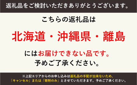 子ども自転車 補助輪同梱 14インチ キッズバイク ブラック×ライムホイール Wynn14（Black x Lime rim）