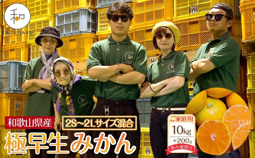家庭用 森本農園の手選別 極早生みかん 10kg +200g傷み補償付 和歌山県産 2S~2Lサイズ混合 【北海道・沖縄・離島配送不可】【RN29】 303446_DJ90029