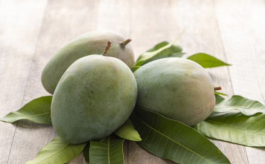 【先行受付】【2026年発送】神谷ファームのキーツマンゴー 約2kg - 先行予約 沖縄県産 産地直送 南国フルーツ 旬の味覚 季節の果物 希少種 贈り物 ギフト 沖縄県 八重瀬町