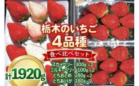 いちご4品種 食べ比べセット 1,920g （とちあいか・とちおとめ・ミルキーベリー・ スカイベリー） 《1月～4月の期間で発送》 澳原いちご農園 | いちご 苺 イチゴ フルーツ 果物 産地直送 栃木県産