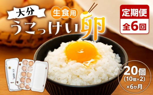 
【定期便 全6回】大分うこっけい卵　生食用20個（10個×2）×6回
