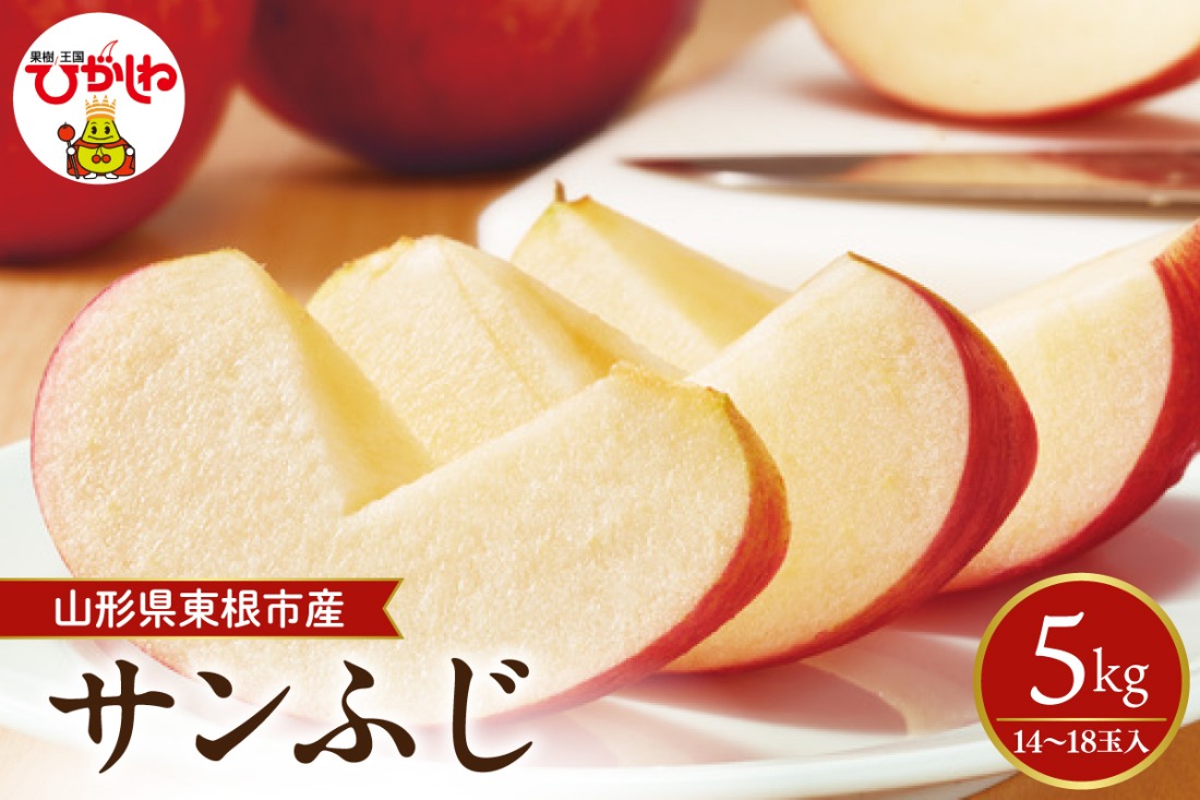 【2026年産先行予約】 太陽の恵みをいっぱいに浴びたりんご「サンふじ」 約5kg (14～18玉入) 山形県 東根市　hi026-062